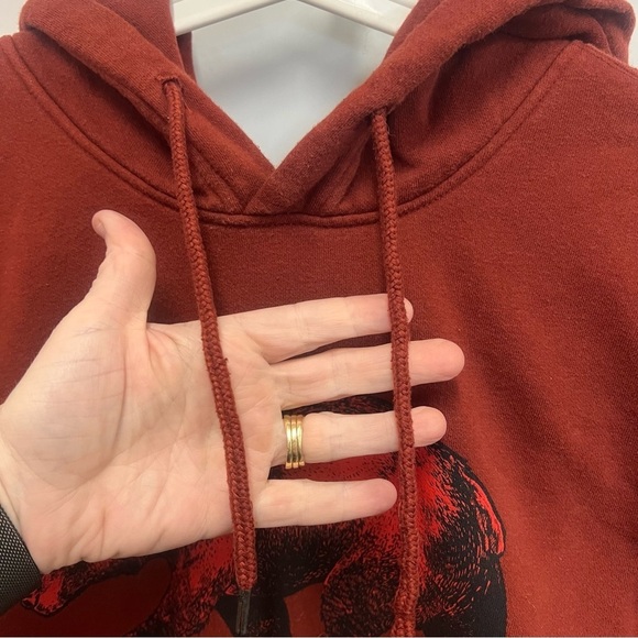 THE NORTH FACE Men's Large Red Bear Pullover Hoodie Sweatshirt TNF - Picture 8 of 15